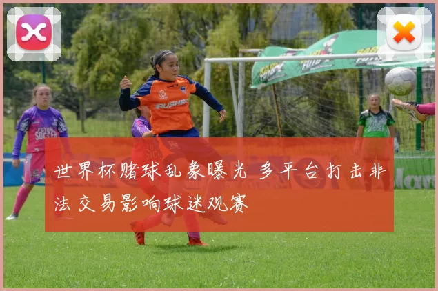 世界杯赌球乱象曝光 多平台打击非法交易影响球迷观赛