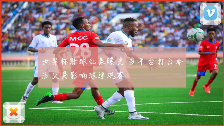 世界杯赌球乱象曝光 多平台打击非法交易影响球迷观赛