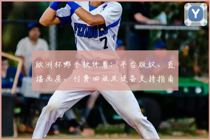 欧洲杯哪个软件看：平台版权、直播画质、付费回放及设备支持指南