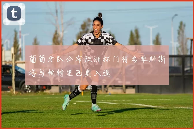 葡萄牙队公布欧洲杯门将名单科斯塔与帕特里西奥入选